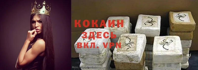 где найти наркотики  OMG ТОР  COCAIN Колумбийский  Киселёвск 